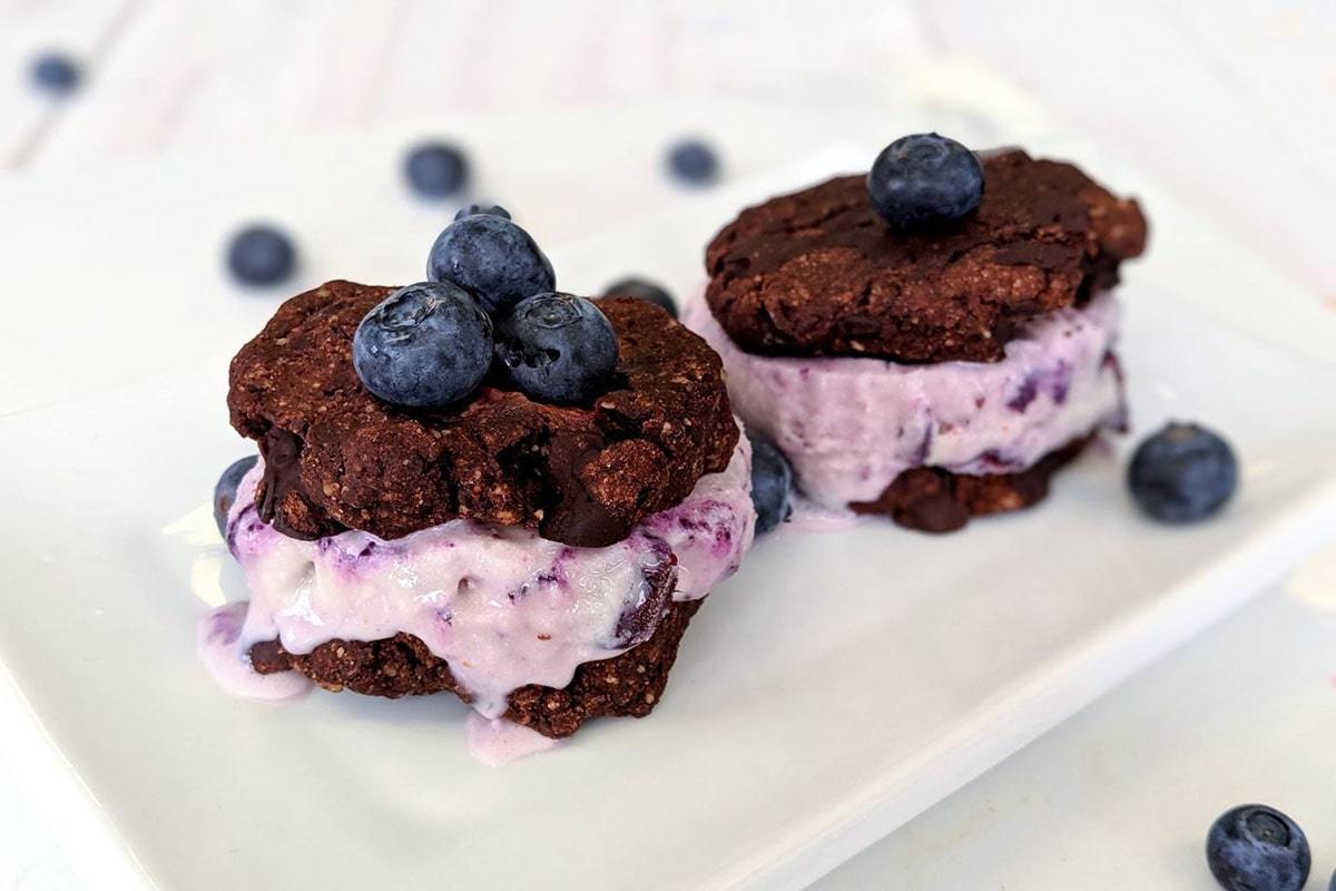 Blueberry-Choc Ice Cream Sandwiches - PBCo.