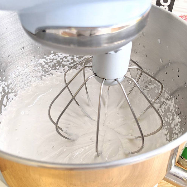 Sugar Free Dairy Free Coconut Icing - PBCo.