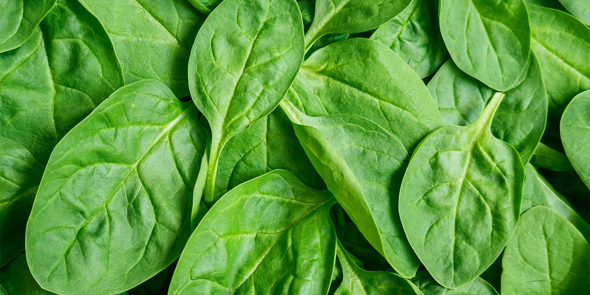 Boost your Metabolism with Vitamins and Minerals - PBCo.