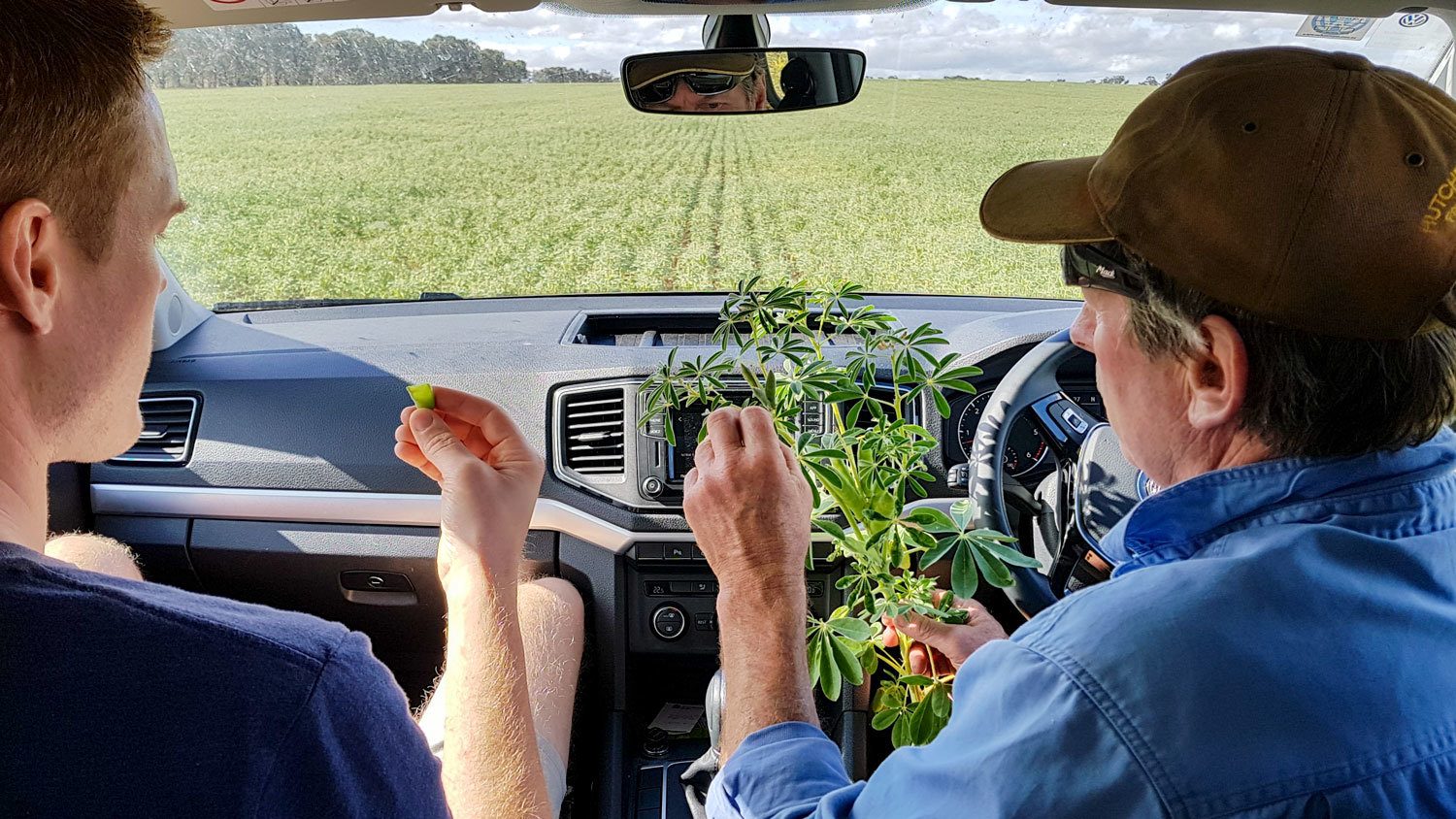 Our Albury Lupin Adventure with Lupins for Life - PBCo.