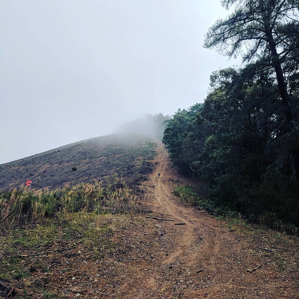 What it was like to run Australia's Hardest Marathon, the Buffalo Stampede - PBCo.