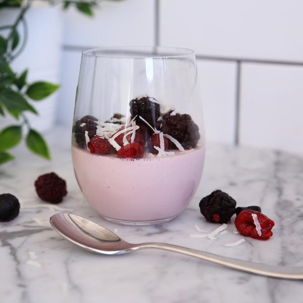 Low Carb Vanilla Berry Protein Pudding - PBCo.