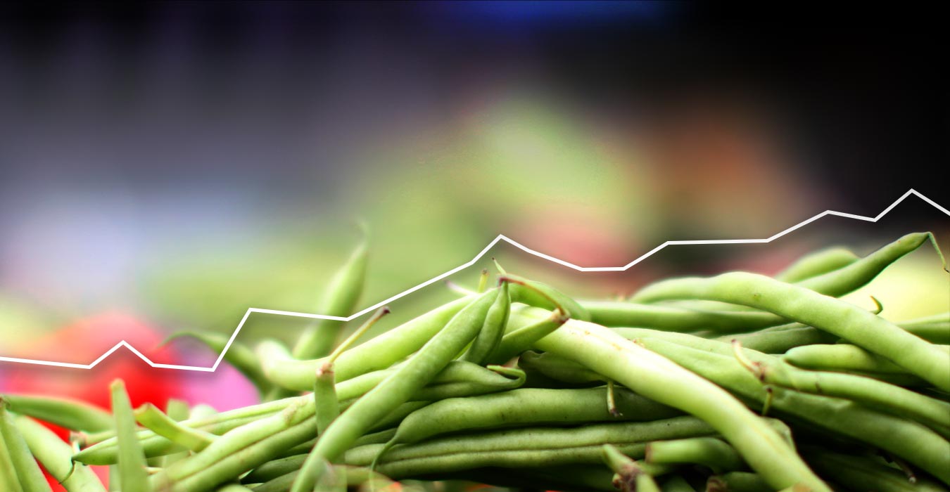 The 30 High Protein Vegetables - The Definitive List - PBCo.