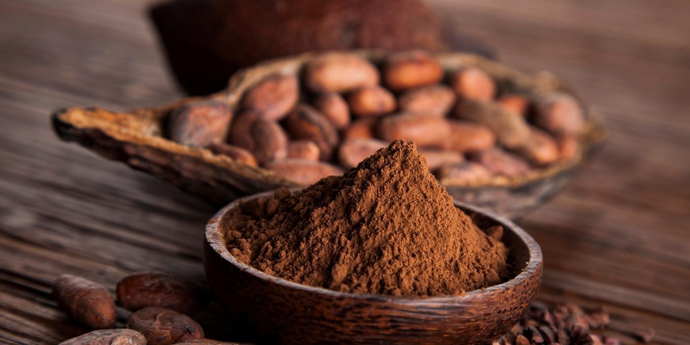 Is Cocoa Low Carb? - PBCo.