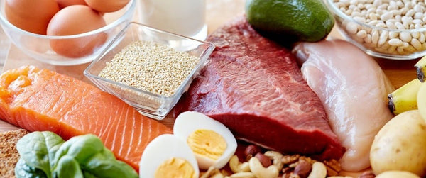 How does Protein become muscle? - PBCo.