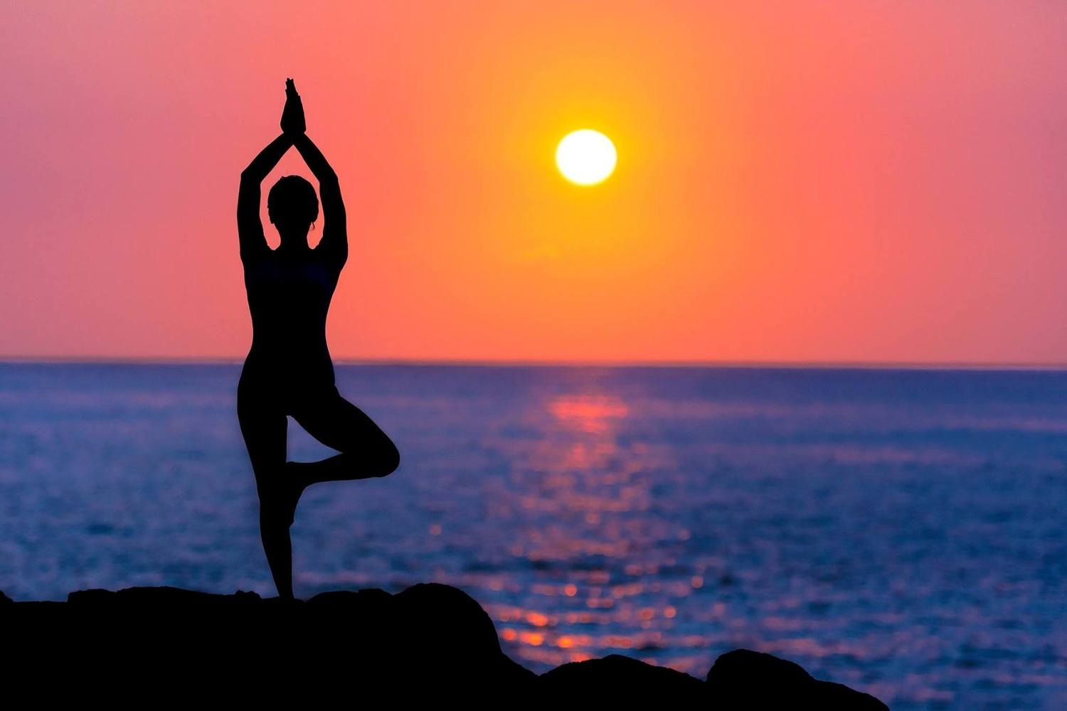 Six Steps to a Happier Gut - PBCo.