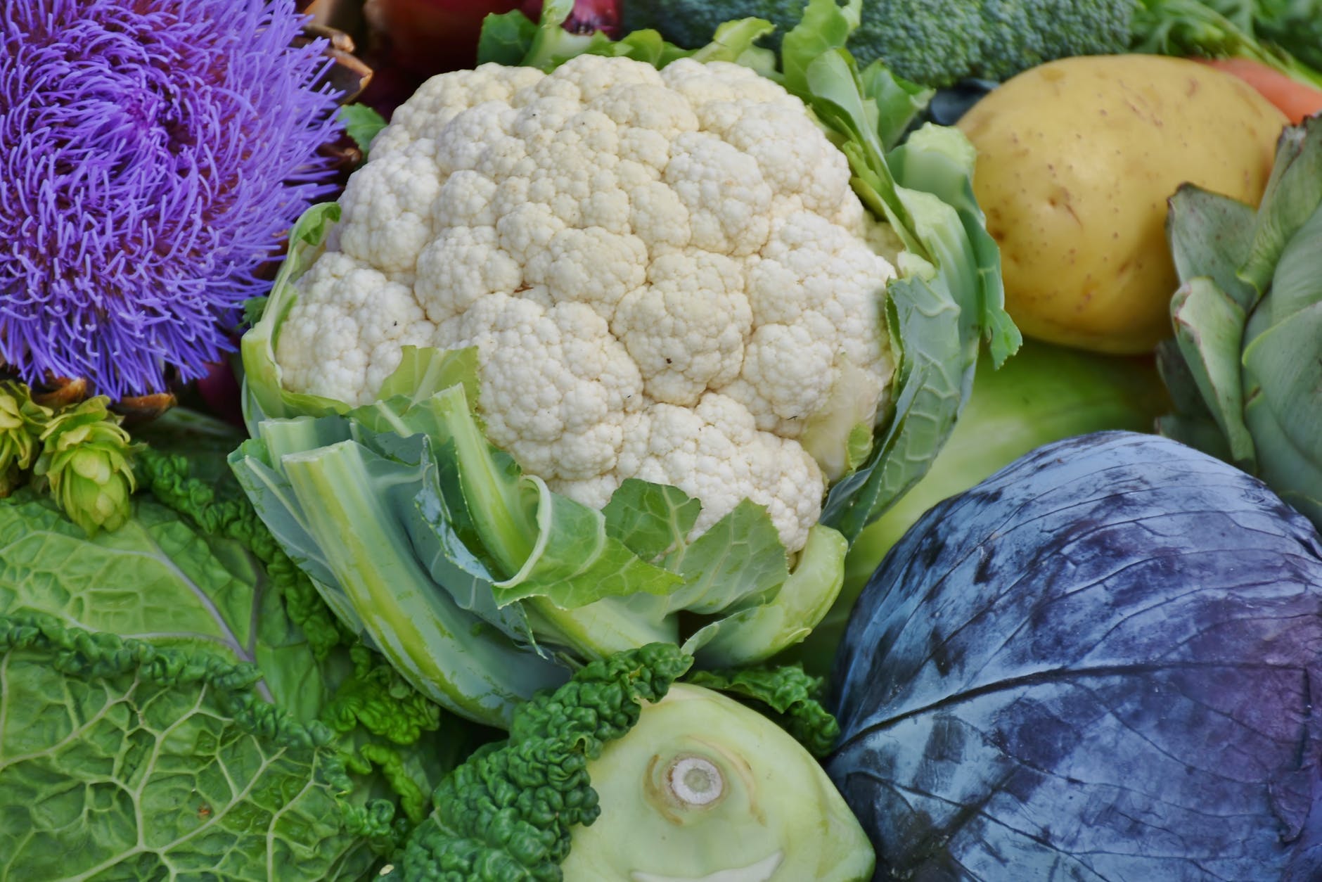 Which Low Carb Fruits & Vegetables are in season in August - PBCo.