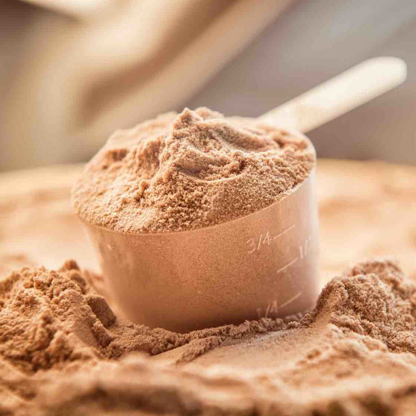 Protein Intake - How much do we actually need? - PBCo.