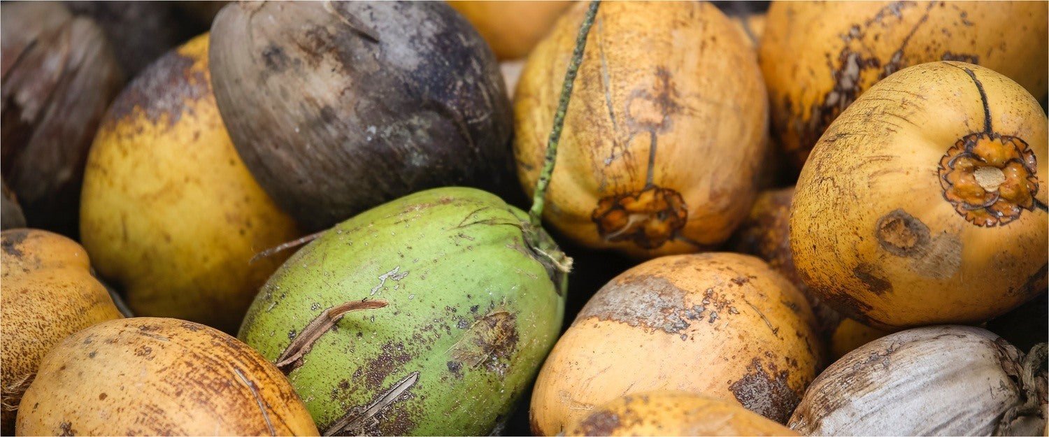Is Coconut Flour Low Carb? - PBCo.