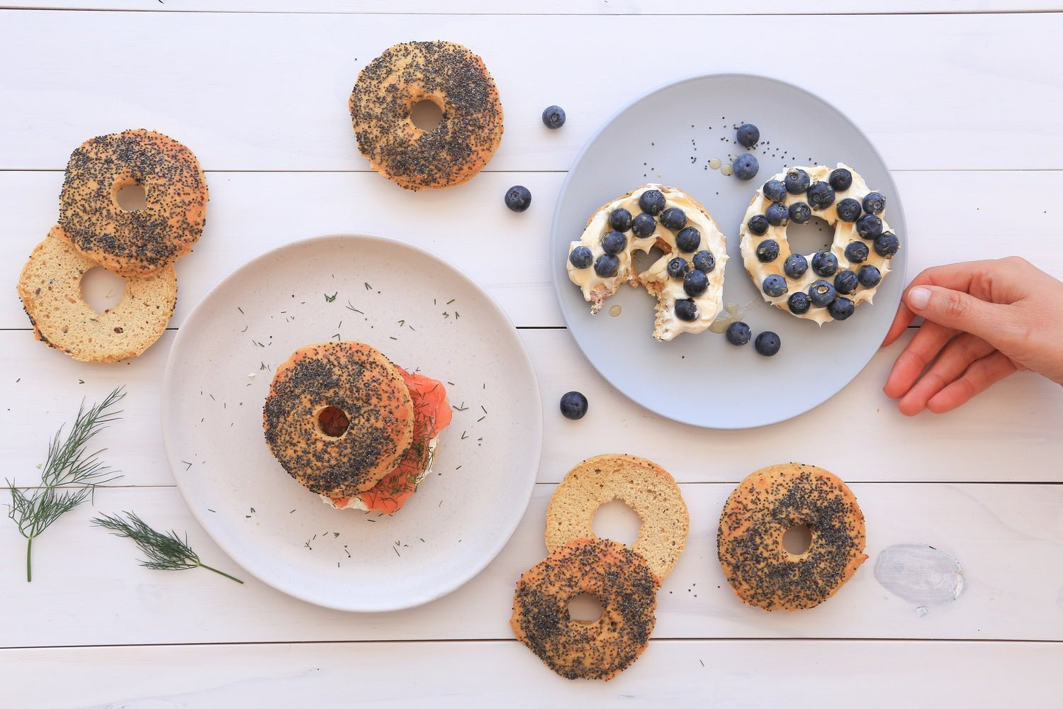 Protein Poppyseed Bagels - PBCo.