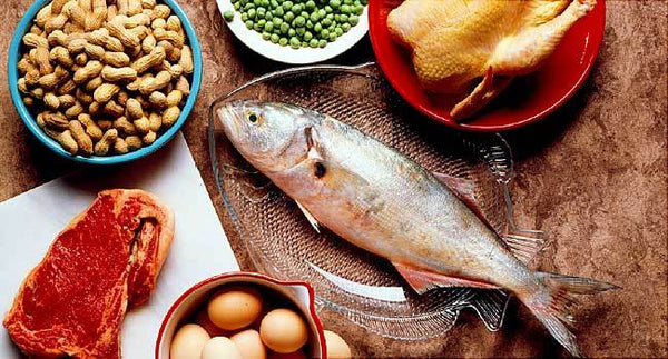 7 Facts About Protein - PBCo.