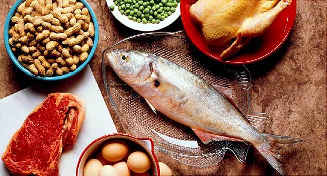 7 Facts About Protein - PBCo.