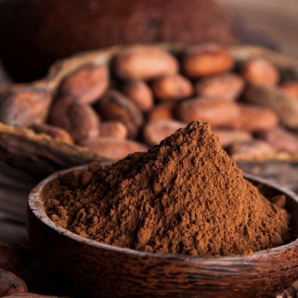 Is Cocoa Low Carb? - PBCo.