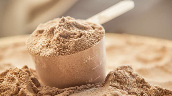 Whey Protein Isolate vs. Whey Protein Concentrate - PBCo.