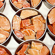 Salmon Tinned